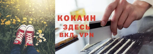 шишки Нея