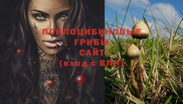 ALPHA PVP Нефтегорск