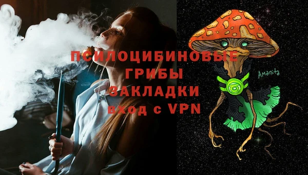 шишки Нея