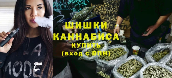 шишки Нея