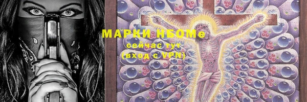 шишки Нея