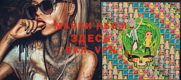 шишки Нея
