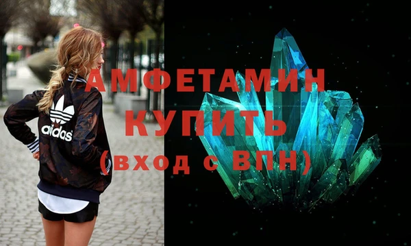 шишки Нея