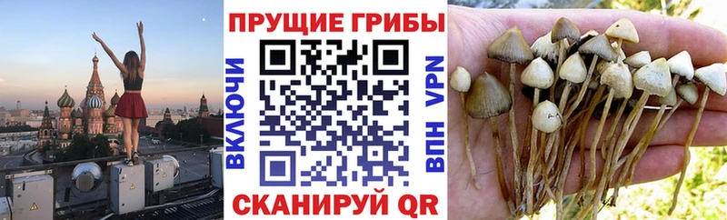 Галлюциногенные грибы Magic Shrooms  Пересвет 